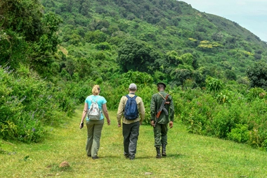 GUIDED WALKING SAFARIS